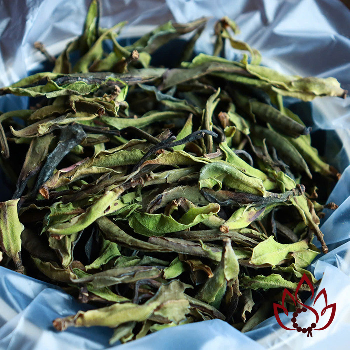 Bạch Trà Cổ Thụ Hoang Dã Vân Nam | 100 gram